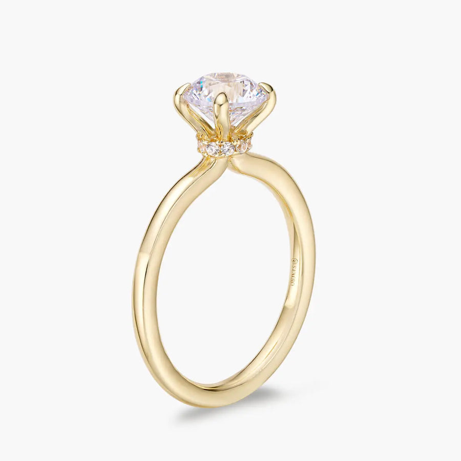 Alis Ring Objkts
