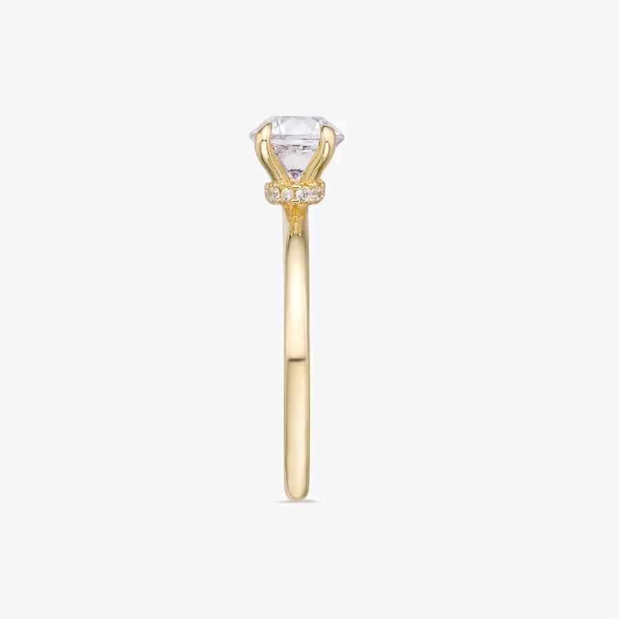 Alis Ring Objkts
