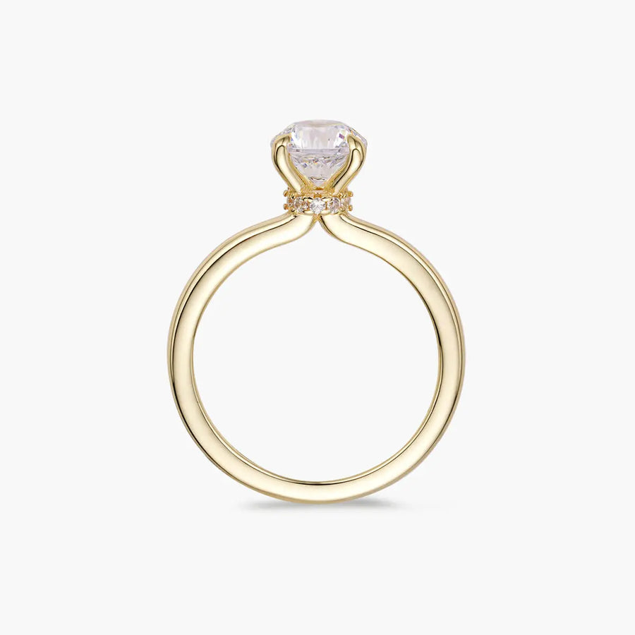 Alis Ring Objkts