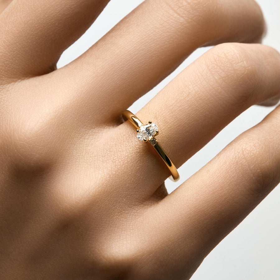 Ina Ring Objkts