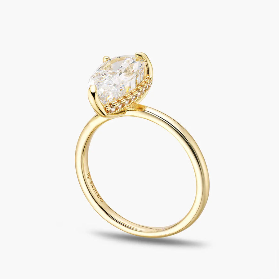 Eden Ring Objkts