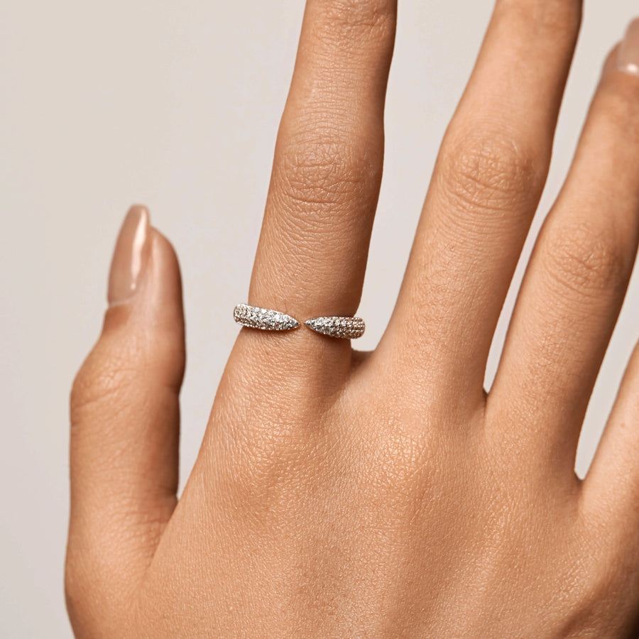 Claw Ring Objkts